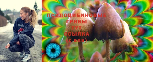 гашик Пролетарск