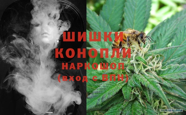 стафф Бородино