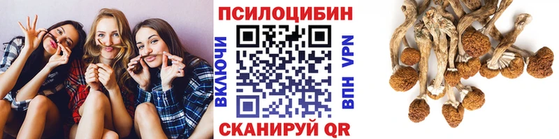 Псилоцибиновые грибы MAGIC MUSHROOMS  как найти закладки  Таганрог 